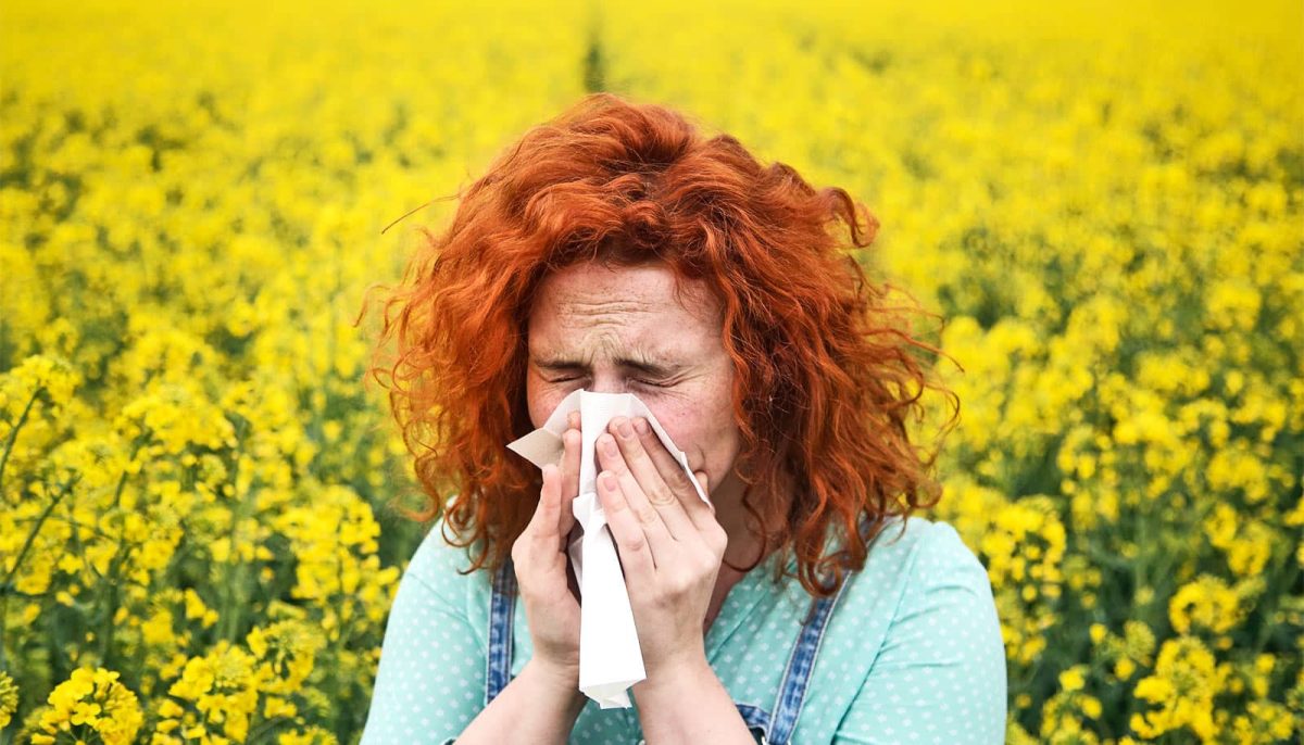Allergy Season