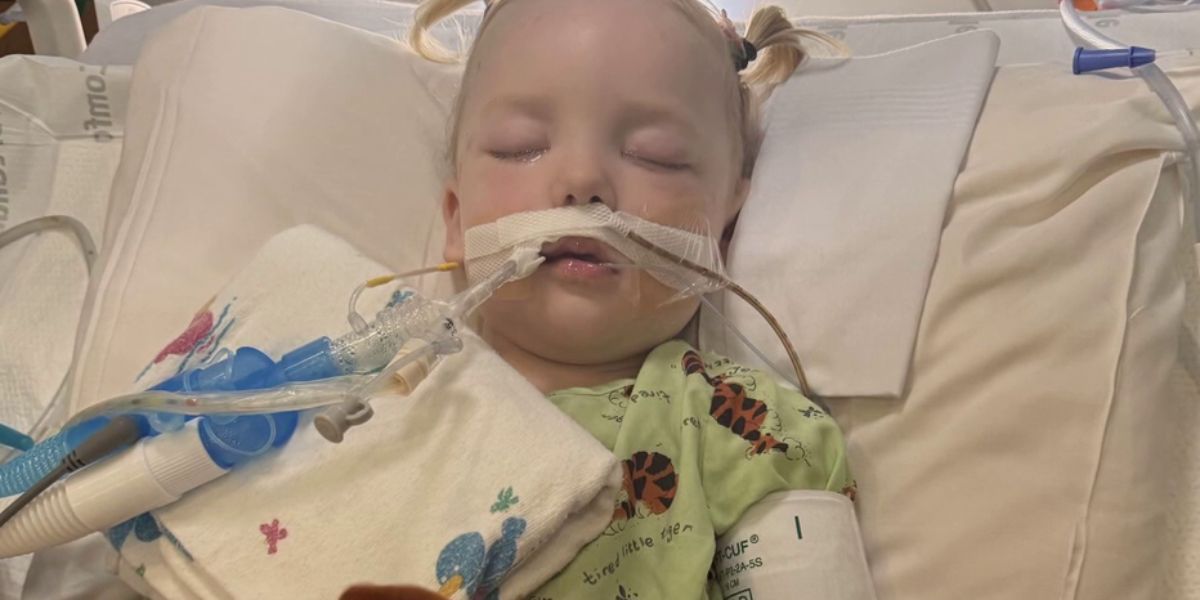 2-Year-Old Annelise Camp Gets New Hope: Louisiana Hospital Opens Its Doors After Texas Doctors Said There Was Nothing Left to Do