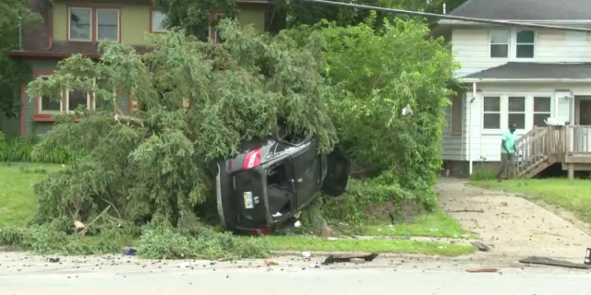 21-Year-Old Behind the Wheel Left a Utility Pole Shattered and a Street Shut Down — Then Police Found Out Why