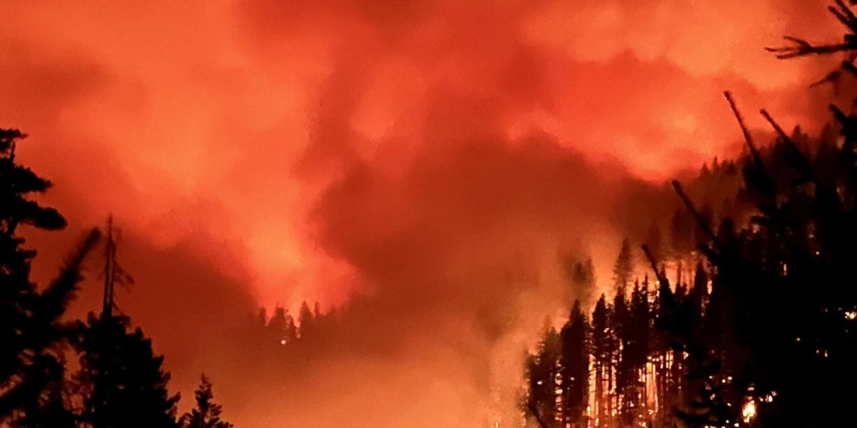Danger in the Air: Oregon and Washington Officials Warn One Spark Could Set the Region on Fire Tonight