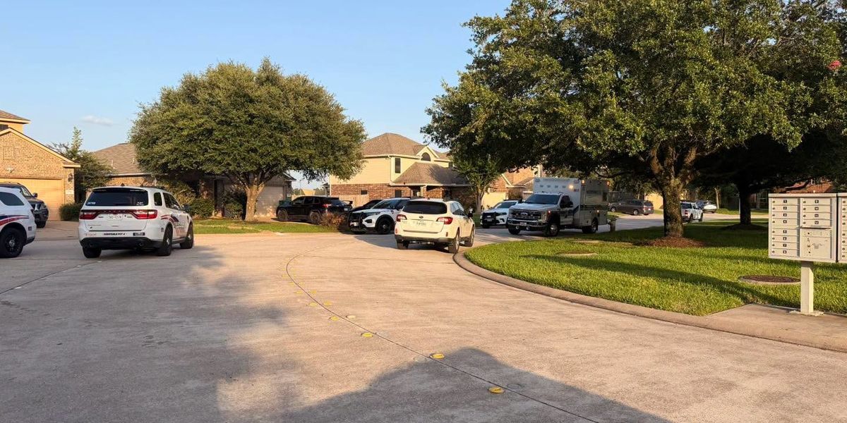 Harris County Woman's Routine Mailbox Walk Ends in Dog Attack — Deputies and Animal Control Now Involved