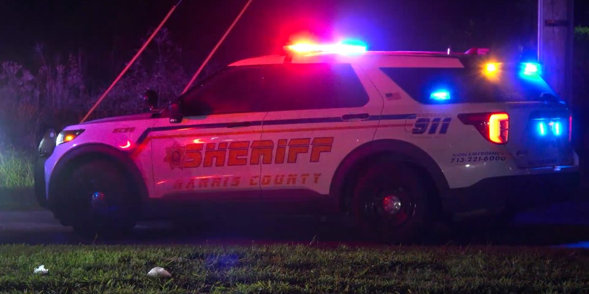 Houston-Area Driver Charged With DWI, Hit-and-Run as Pedestrian Fights for Life