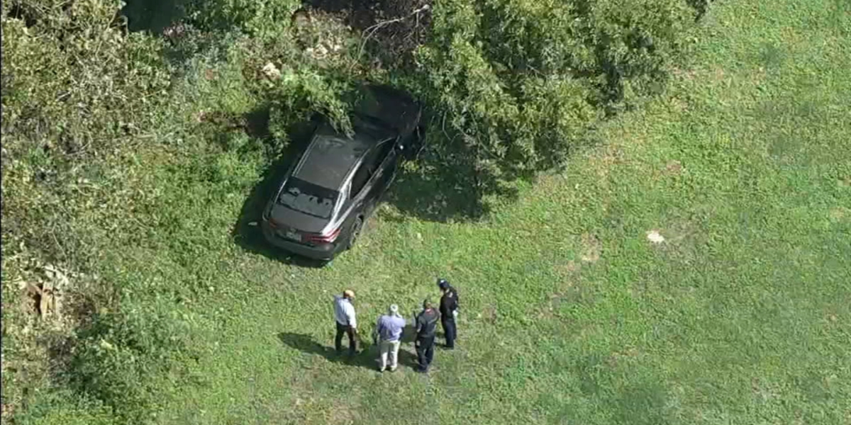 Man's Body Discovered in Vacant Field in Northeast Houston — Circumstances of Death Unknown, Police Investigating