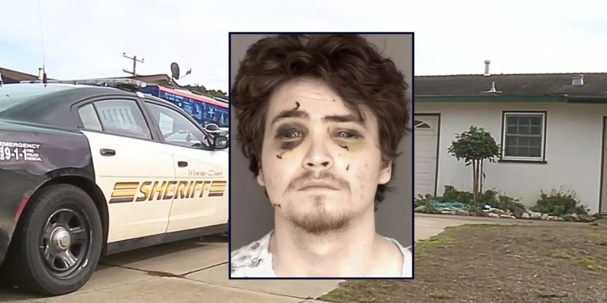 Online gamer flew from Canada to California with handcuffs, knives and a fake delivery box to carry out yearlong obsession: police