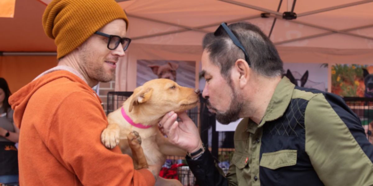Over 100 Animals Could Be Gone From Houston Shelters This Weekend — Here's What's Happening Saturday