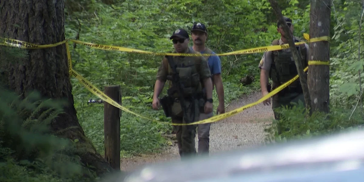 Teen Hiker Attacked by Black Bear on Popular Washington Trail, Multiple Routes Now Closed