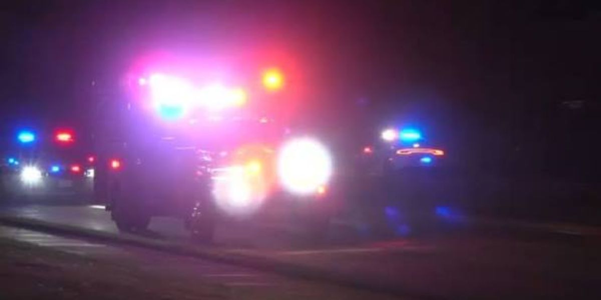 Two Bodies Found Decomposing Inside Auctioned Vehicle Delivered to Auto Body Shop — How Did No One Know They Were There?