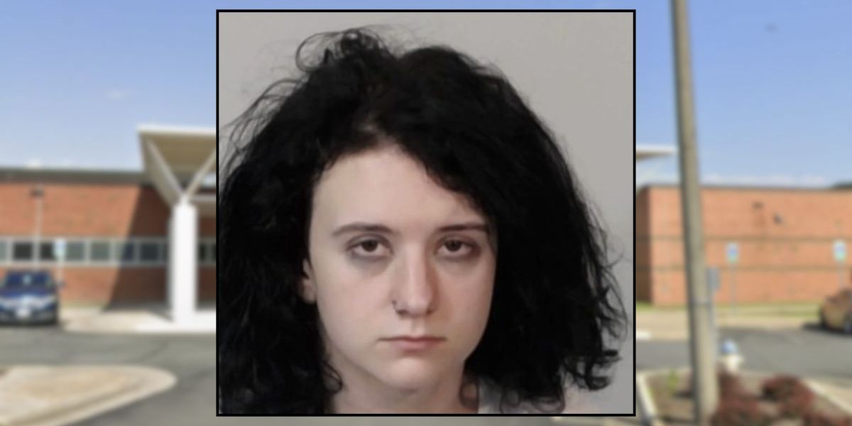 Virginia Teens Allegedly Plotted to Kill an Entire Family, Stopped a Wawa With Knives, a Murder Notebook, and Buffalo Wild Wings Takeout in the Car
