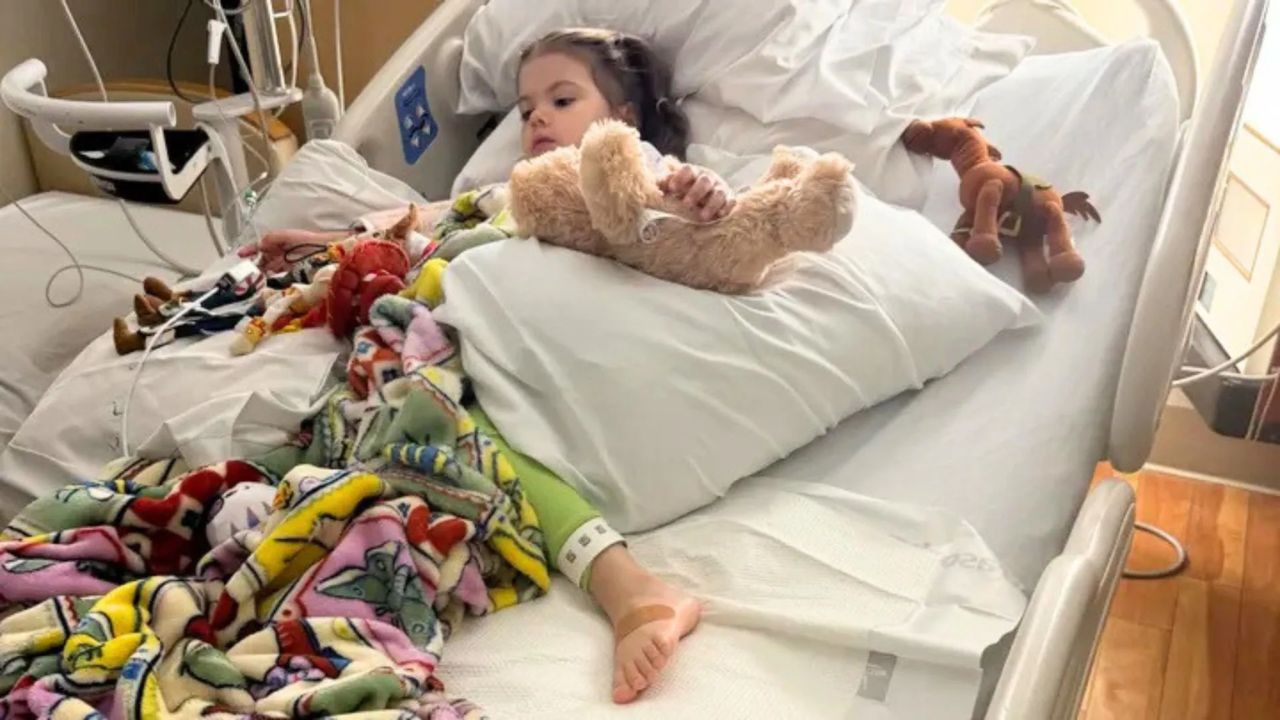 3-Year-Old Girl Hospitalized for Days After Rattlesnake Hidden Beneath Her Own Package Bites Her Hand
