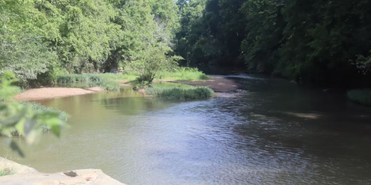 A 14-year-old jumped off a diving rock at a Georgia park — he never came back up