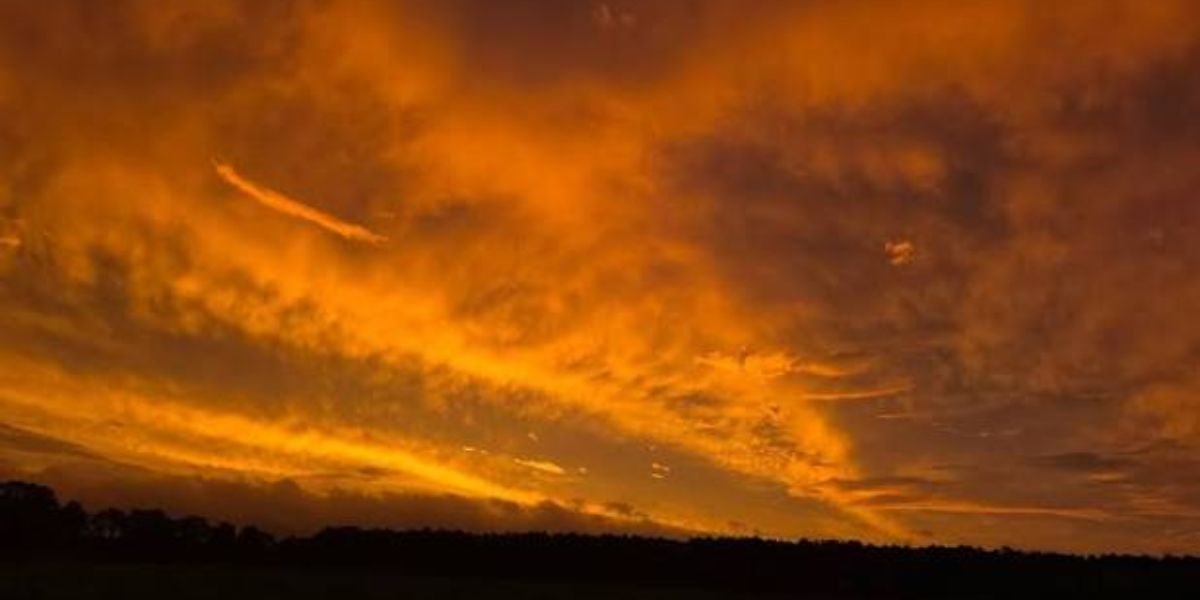 Dangerous Heat Is Quietly Spreading Across Upstate South Carolina and North Georgia — And Your Body Will Feel It Before You Realize It's Too Late