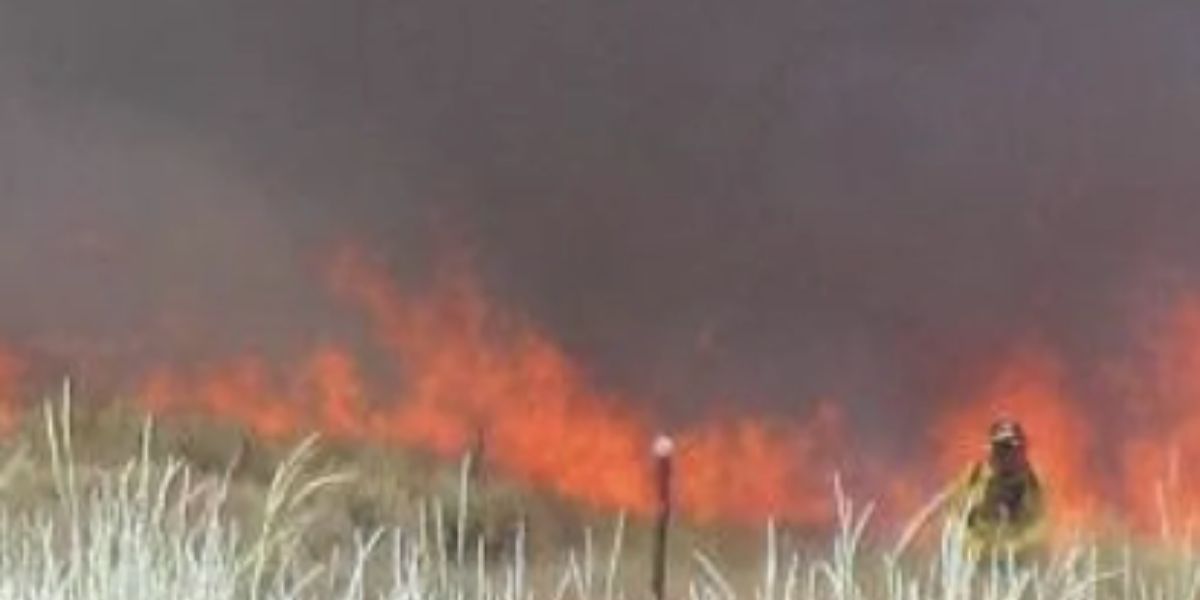Dry Lightning Expected to Strike Bone-Dry Brush Across 6 Western States — Officials Warn New Fires Could Explode Within Minutes of Ignition