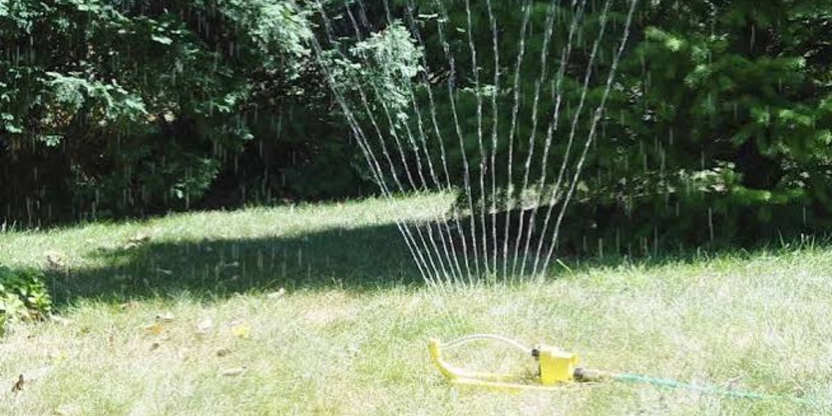 Residents Ordered to Stop Watering Lawns as New Jersey's Drought Crisis Reaches a Breaking Point