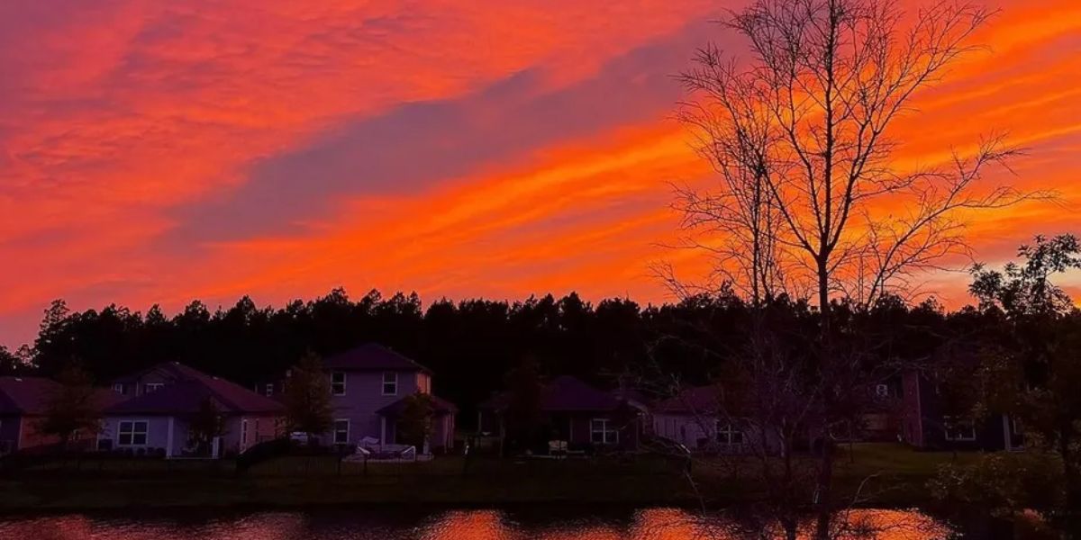 Tampa Bay Residents Face Two Major Shifts This Week — Rain Moves In Today, Then Something Far Less Common Shuts It All Down